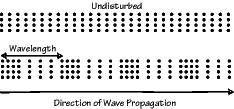 P-wave Motion