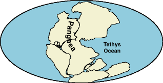 pangea map with continents labeled