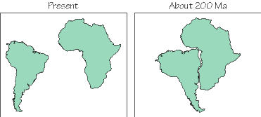 Evidence for plate tectonics essay